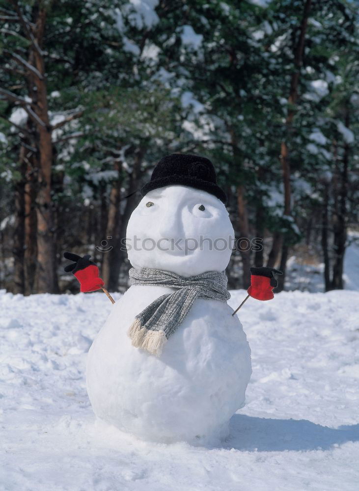 Similar – Image, Stock Photo Snow, man!