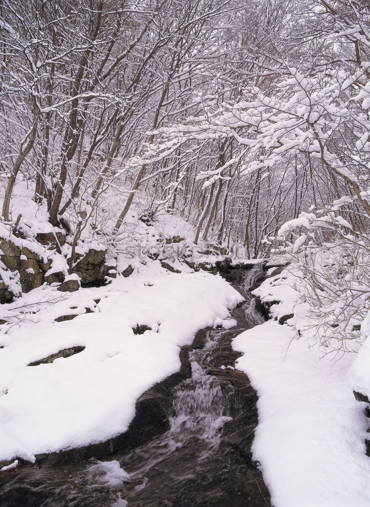 Similar – Image, Stock Photo Railway bridge over river at snowfall, winter Norway