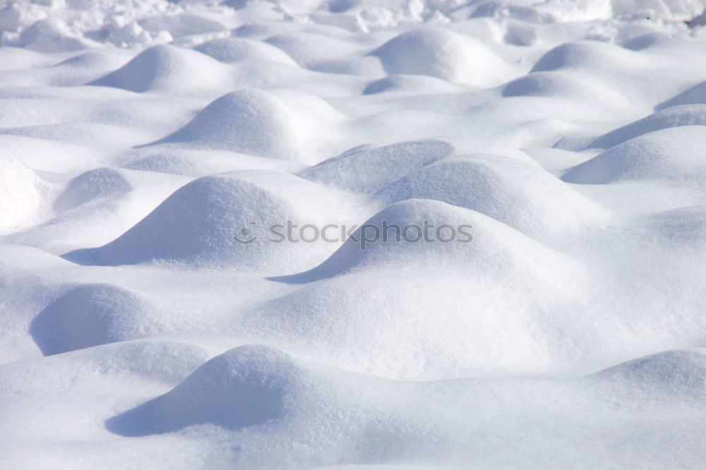 Similar – Image, Stock Photo historical | Black Forest House