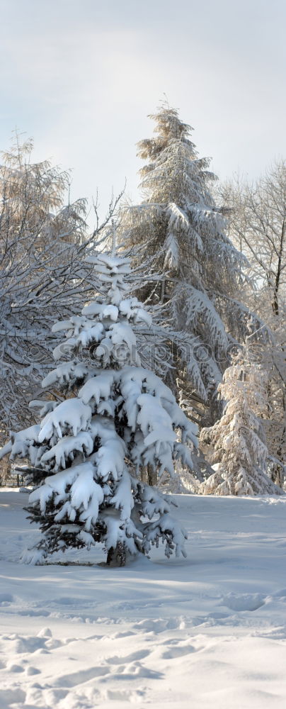 Similar – Image, Stock Photo The snowy landscape rests still