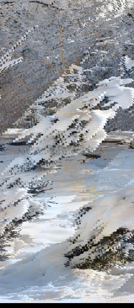 Similar – Image, Stock Photo Wooden christmas tree on snow.