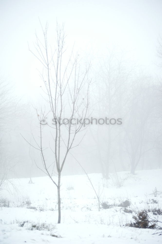 Similar – Image, Stock Photo into nothingness 2