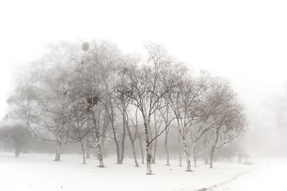 Similar – Image, Stock Photo Winter in the country