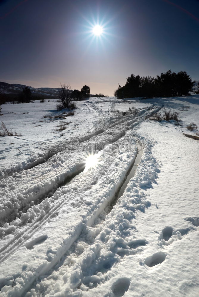 Similar – Image, Stock Photo cross-country skiing paradise…