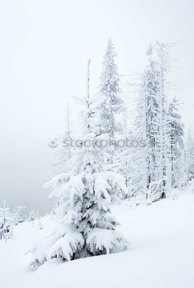 Similar – Image, Stock Photo Alpine winter