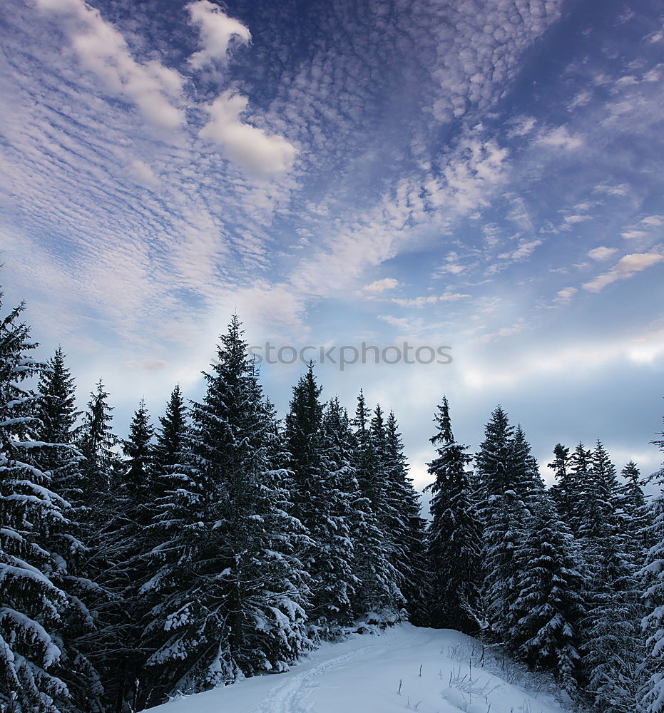 Similar – Image, Stock Photo hut Winter Massive Calm