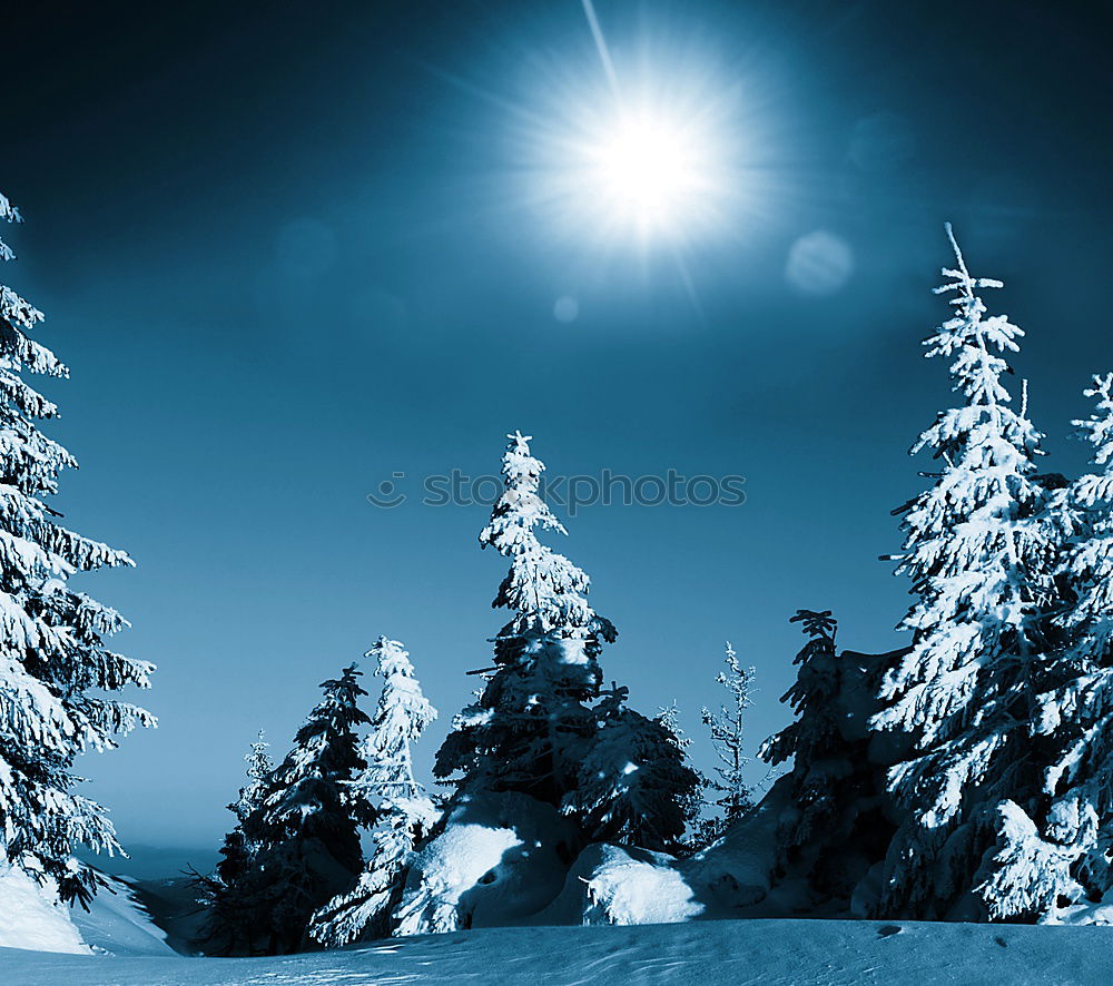 Similar – winter forest sun