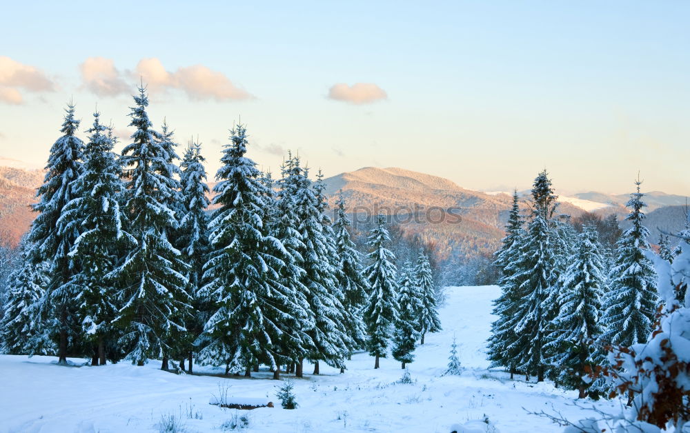 Similar – winter magic Fence Winter