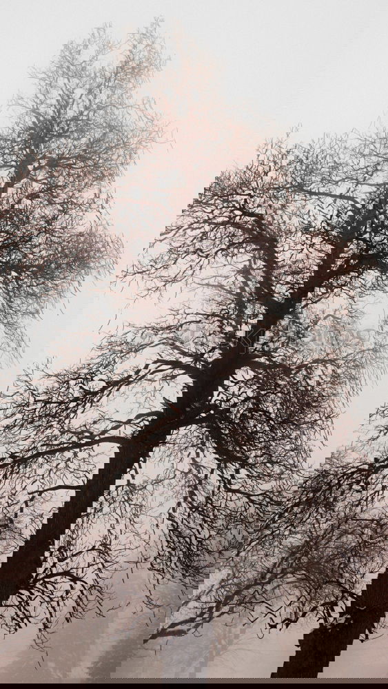 Similar – Foto Bild Ruhetag Natur Landschaft