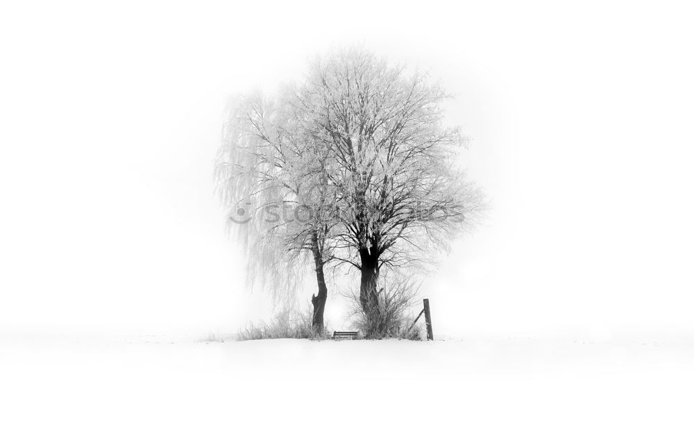 Similar – Image, Stock Photo all alone Winter Nature