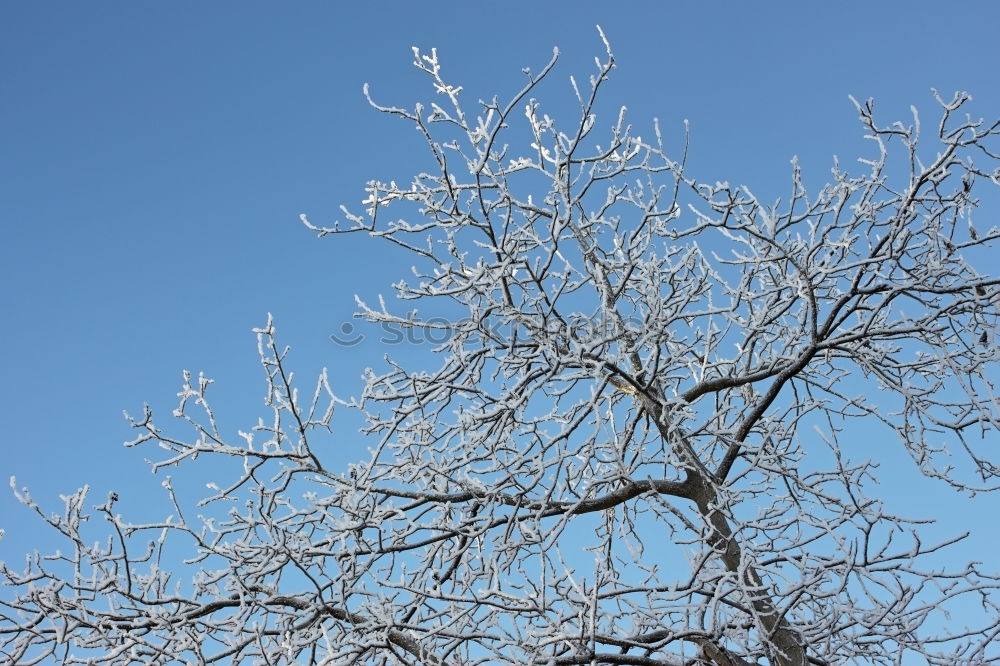 Similar – weißblaue geschichten