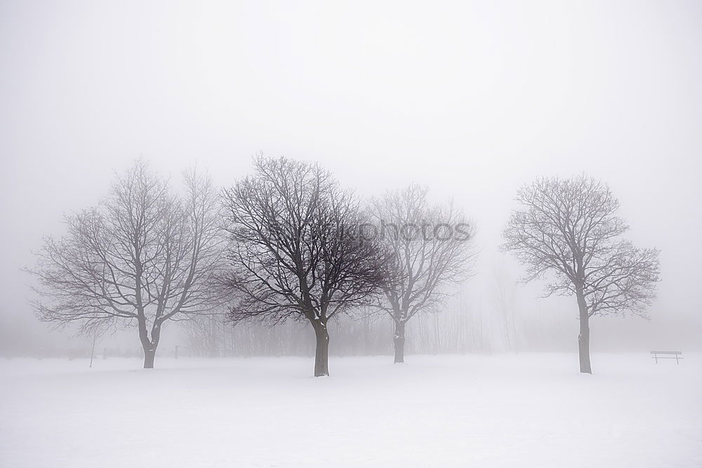 Similar – Image, Stock Photo anticipation Environment