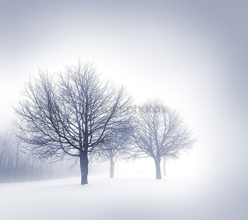 Image, Stock Photo Winter Blues II