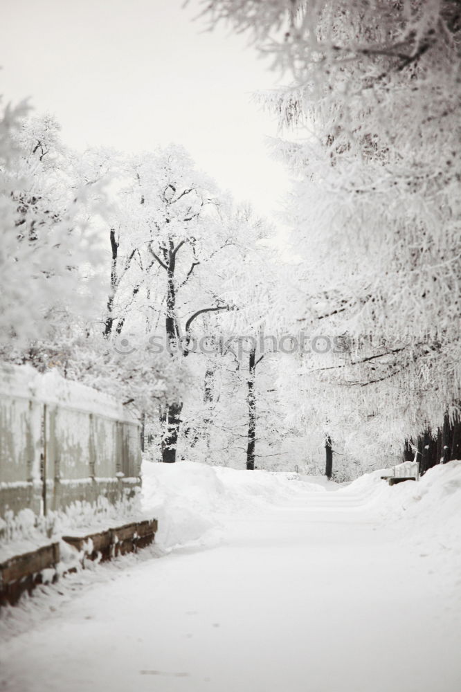 Similar – Schneegestöber Winter