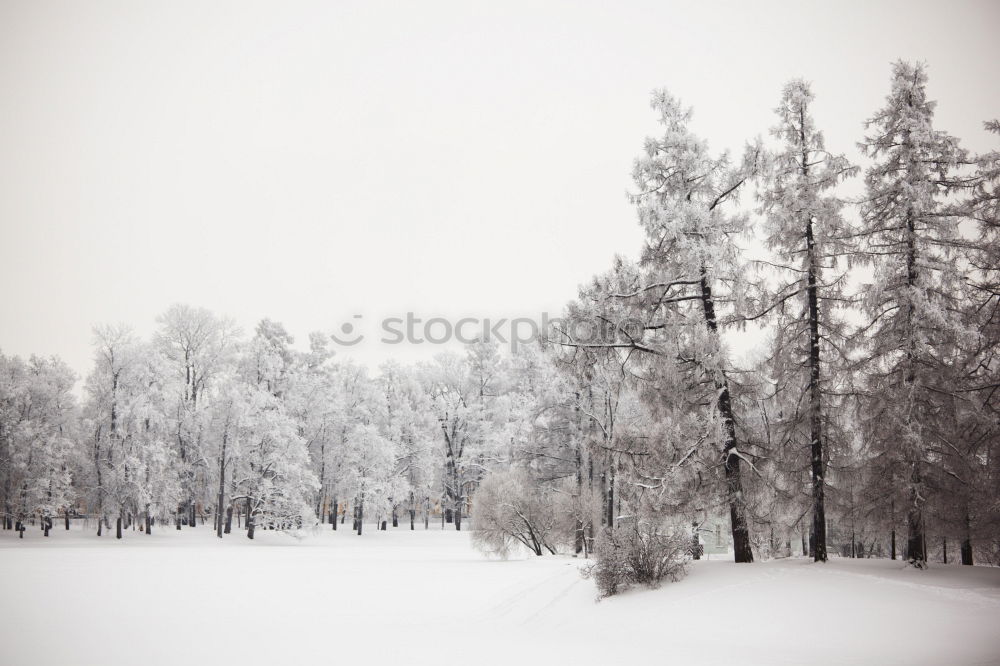 Similar – für Winterliebhaber