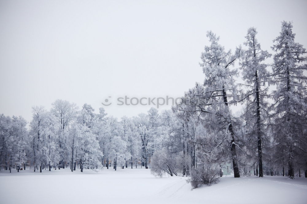 Similar – für Winterliebhaber