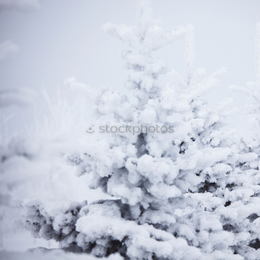 Similar – Image, Stock Photo December 25th, 2010 Chair