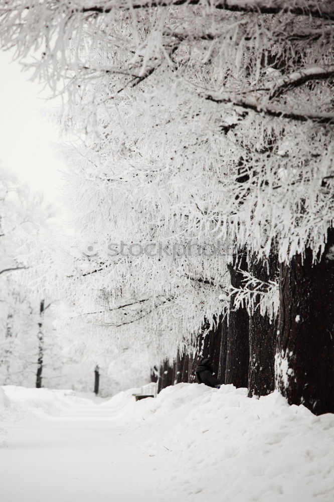 Similar – Schneeberg Winter