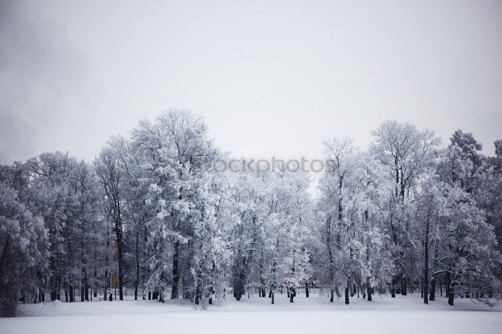 Similar – Image, Stock Photo Winter in the country