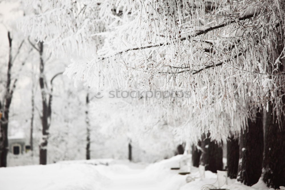 Similar – Image, Stock Photo Winter in the country