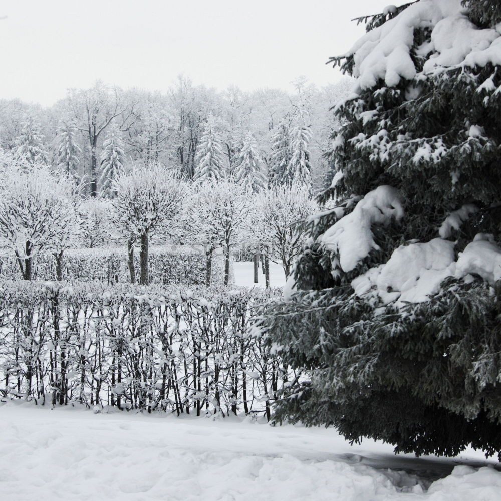 Similar – snow falling on meadows