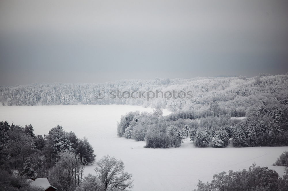 Similar – Powdered sugar?! Winter