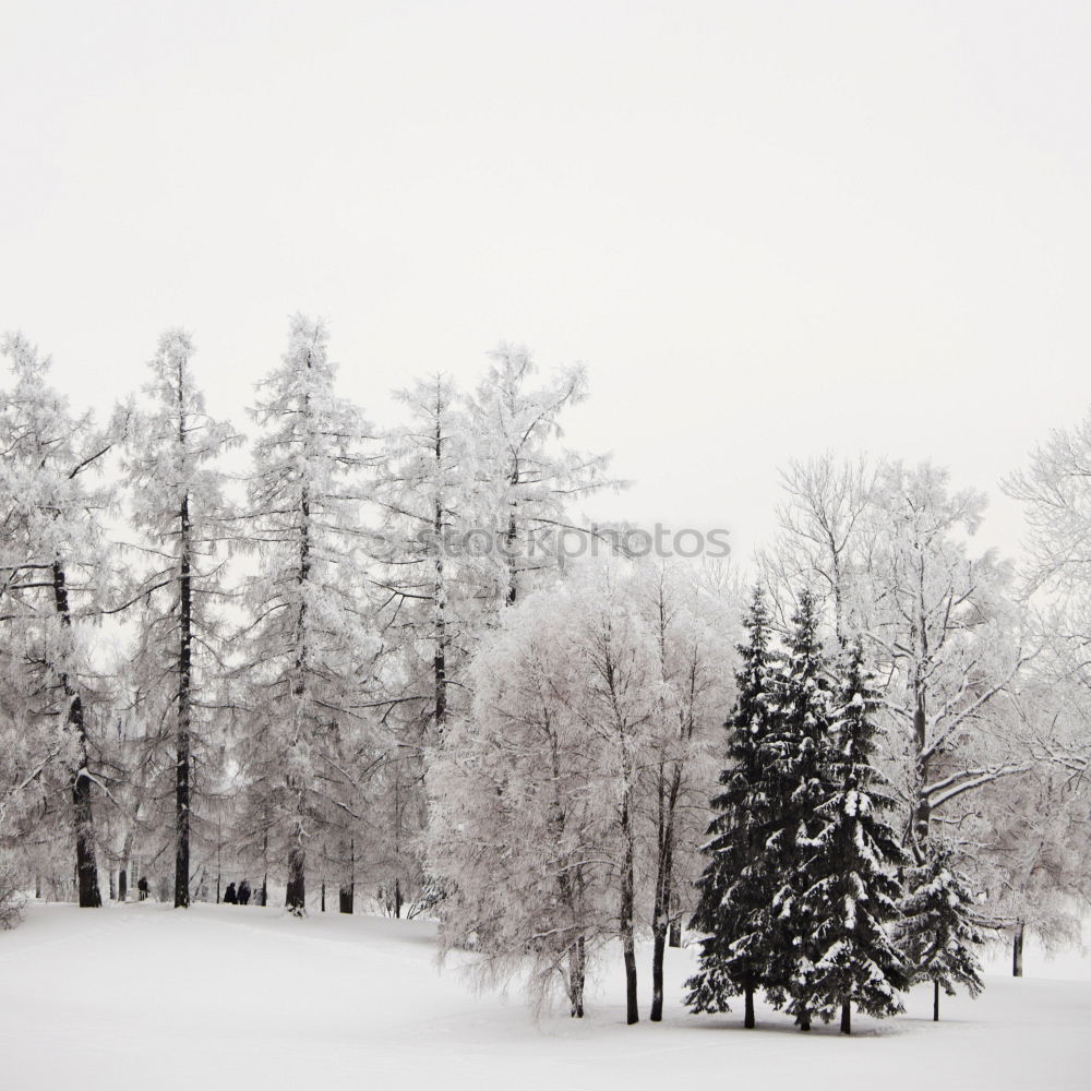 Similar – Foto Bild Zuflucht in weiss Erholung