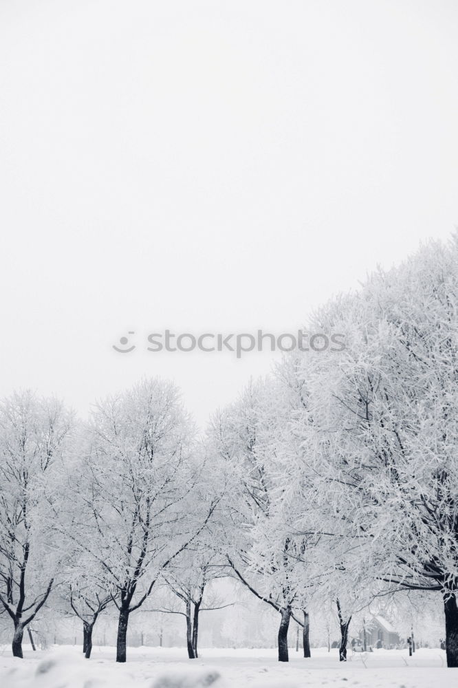 Similar – Cold autumn day Frame