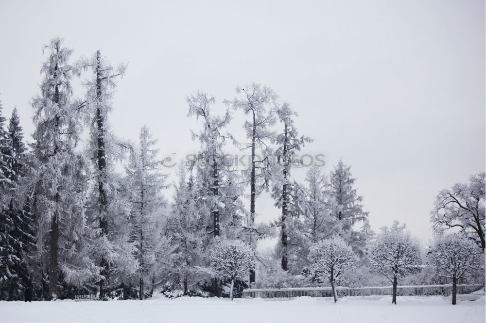 Similar – Image, Stock Photo hibernation Lake Water