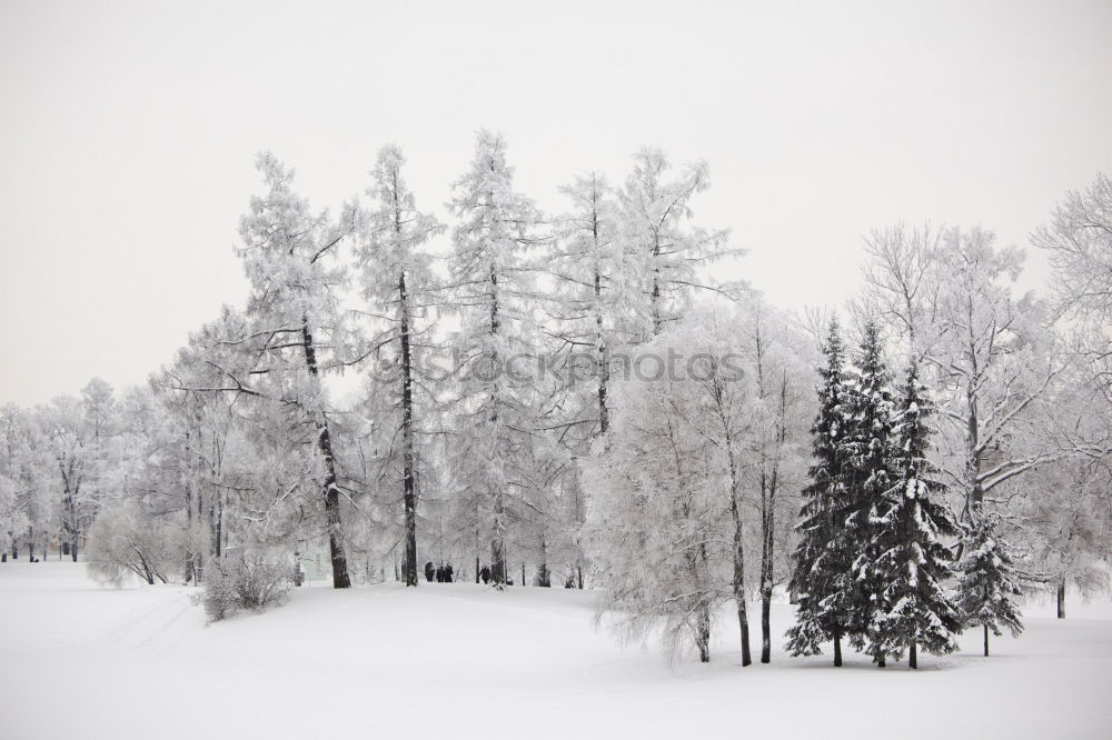 Similar – Image, Stock Photo hibernation Lake Water