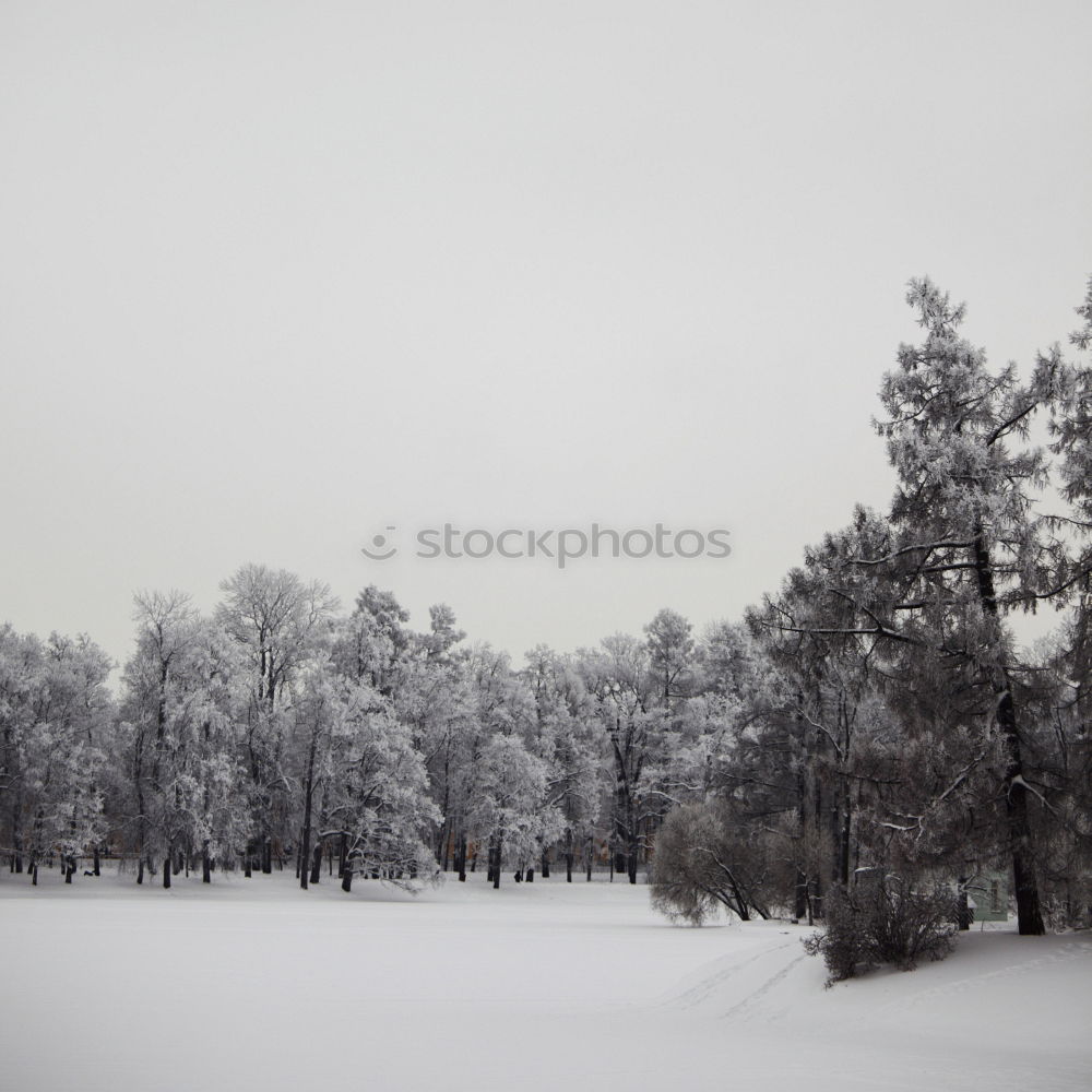 Similar – Image, Stock Photo ingots Express train Soft