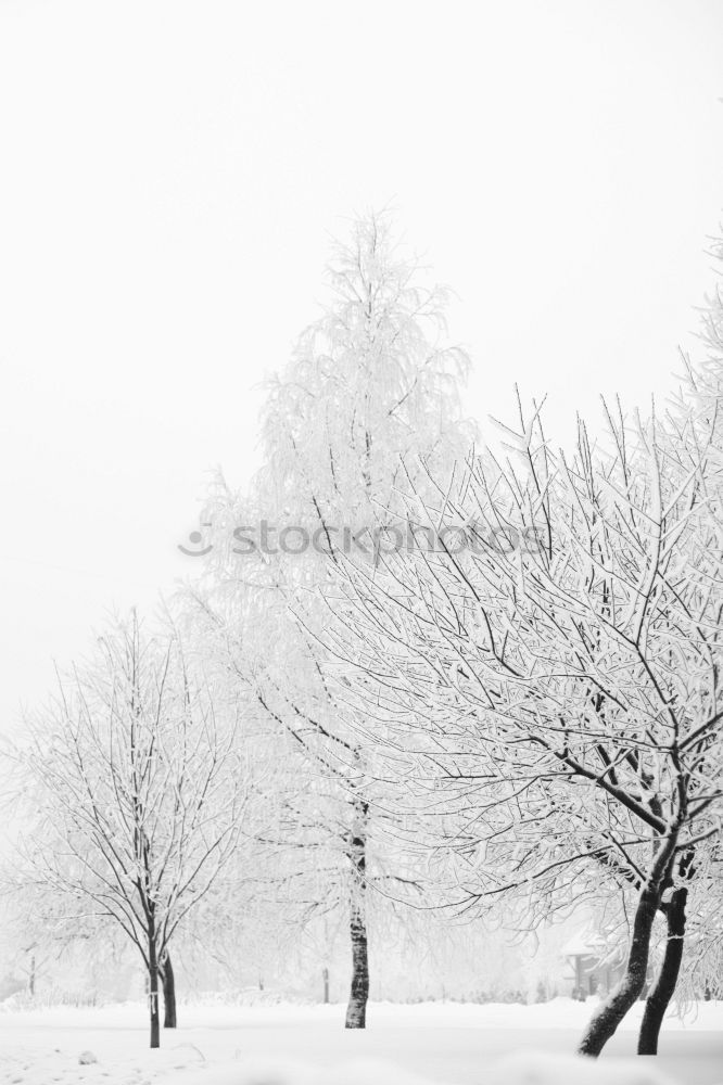 Similar – Foto Bild Warschauer Schnee Winter