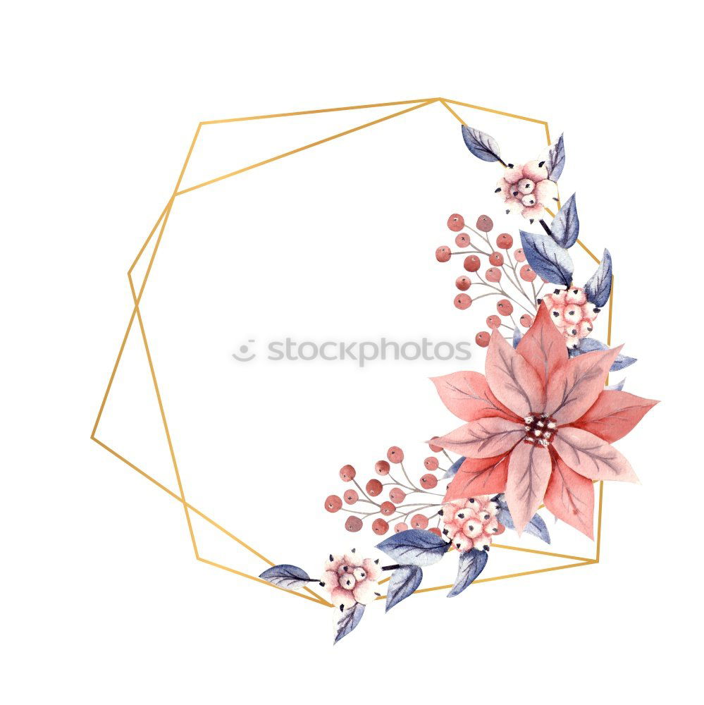 Similar – Composition of pink accessories to female holidays: Mothers day , Womens day, birthday or wedding. Paper shopping bag with flowers,paper, party fan and ribbon on white background, top view