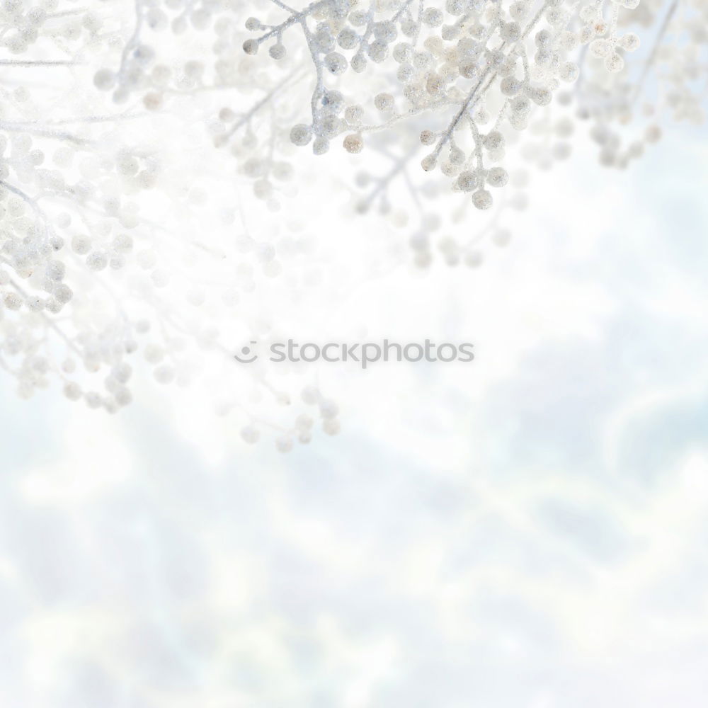 Similar – Image, Stock Photo Winter Background