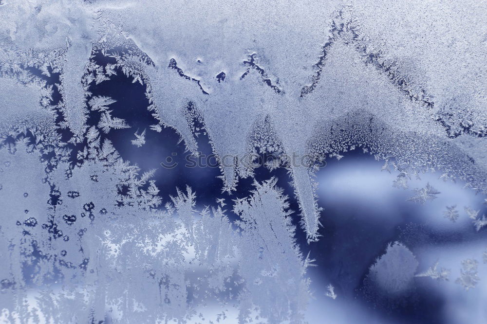 Similar – Image, Stock Photo red marker on tree in winter for tree felling