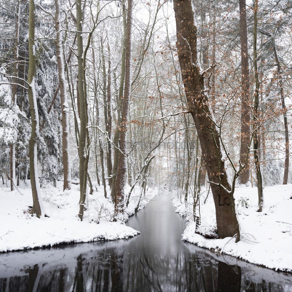 Similar – Image, Stock Photo scarecrow Winter