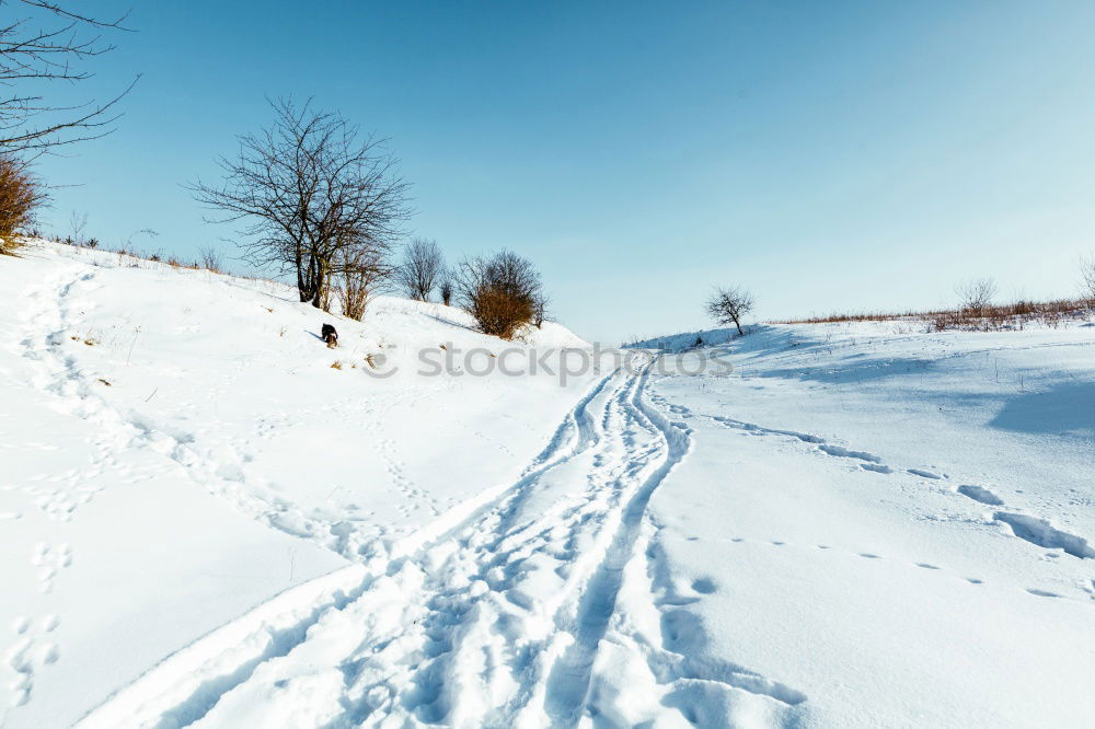 Similar – Image, Stock Photo no passing Nature