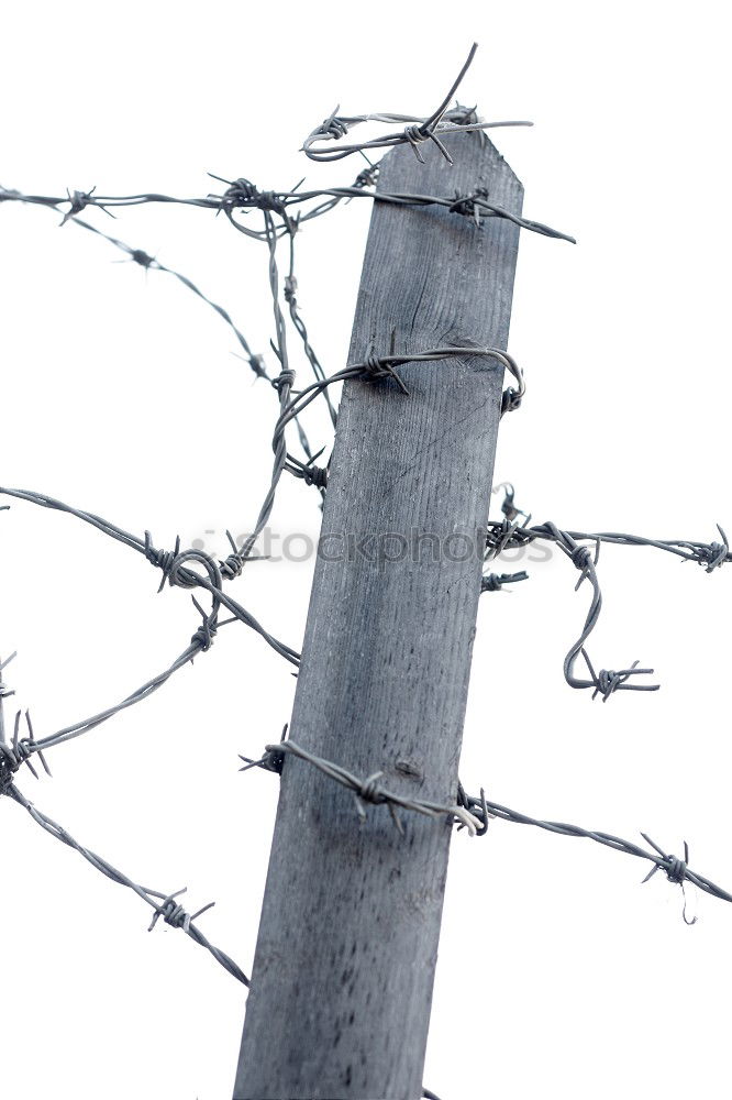 Similar – Image, Stock Photo Blocked sky Barbed wire