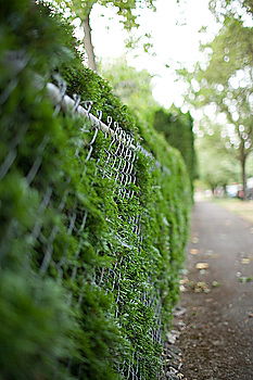 Similar – Image, Stock Photo stroll Nature Plant Bushes