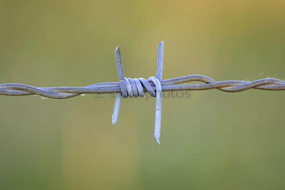 Similar – fence post Fence