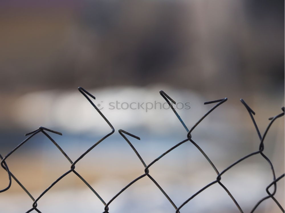 Image, Stock Photo walk detail Fence