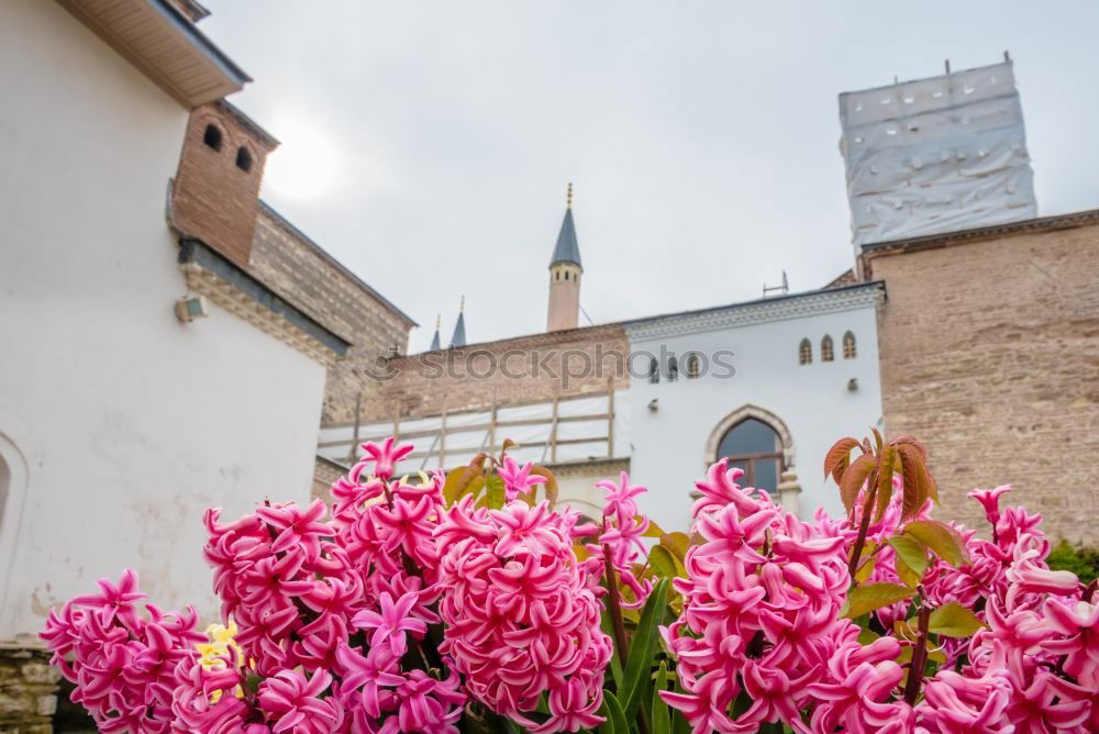 Similar – Image, Stock Photo Stuttgart in spring Nature