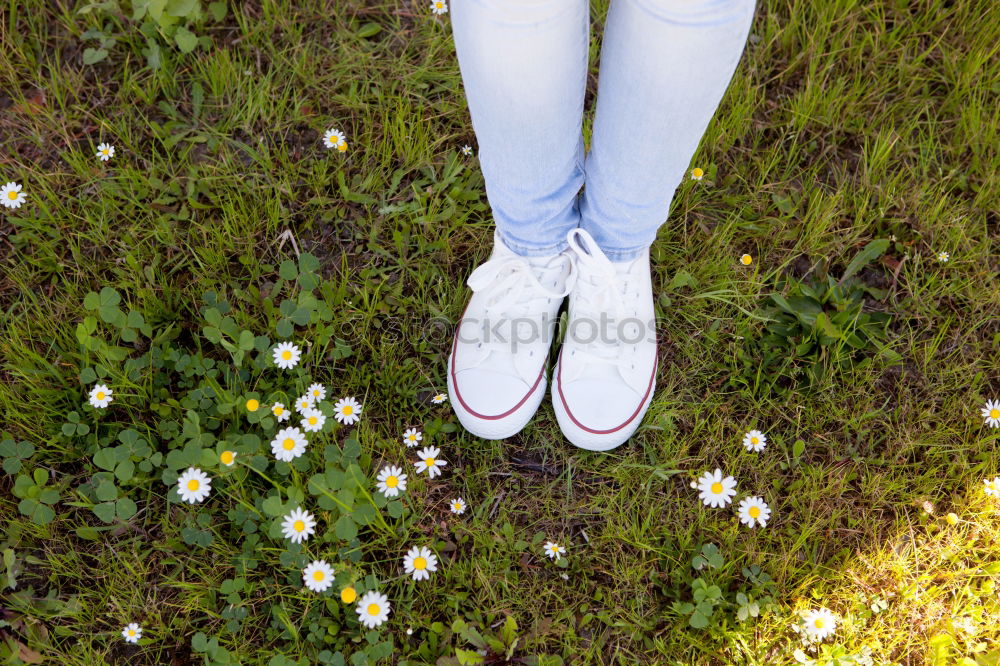 Similar – Barfuß im kühlem feuchten Gras mit Gänseblümchen