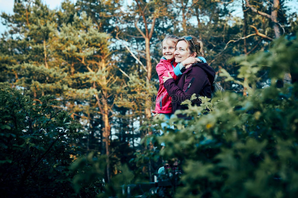 Similar – Image, Stock Photo Autumn in Lüneburger Heide