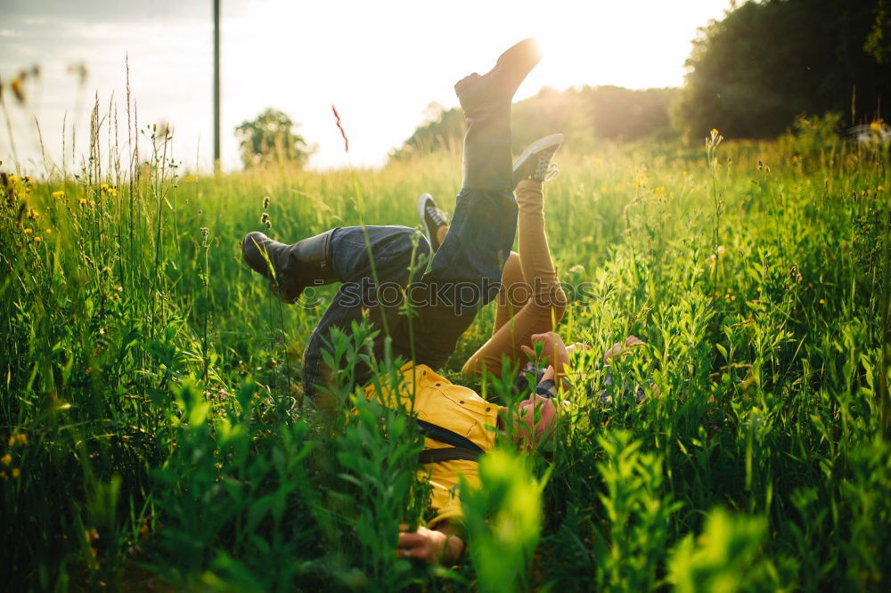 Similar – Image, Stock Photo it blooms do schön…