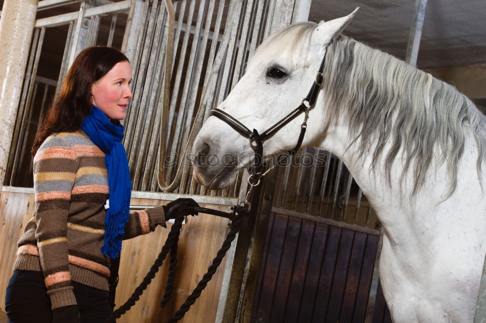 Similar – Image, Stock Photo If horses could purr…