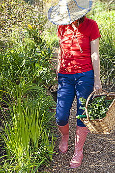 Similar – Image, Stock Photo basket Basket Maize field