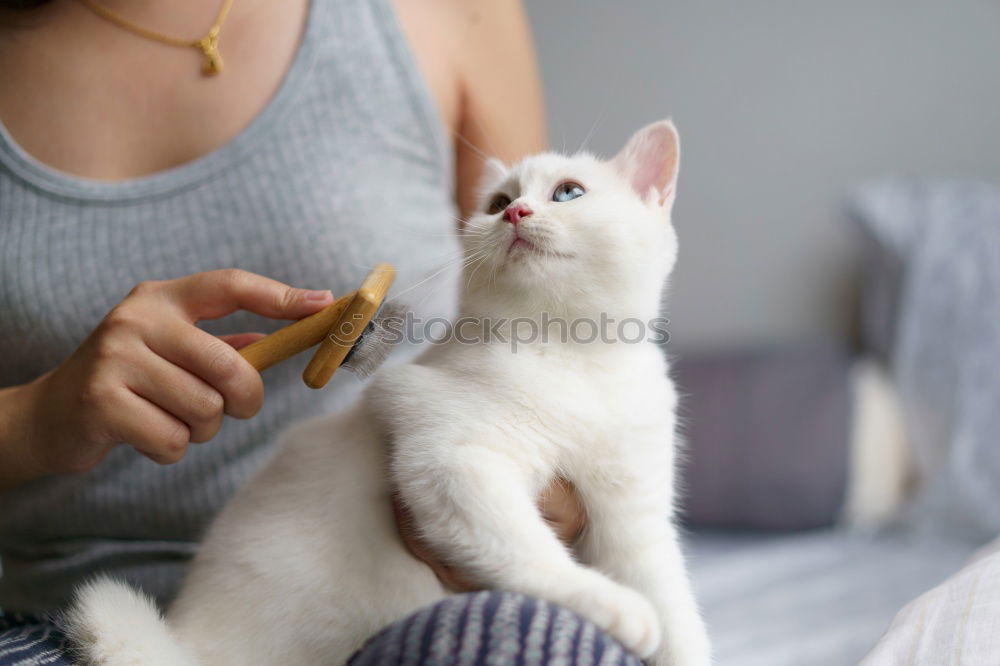 Similar – Image, Stock Photo Cat child