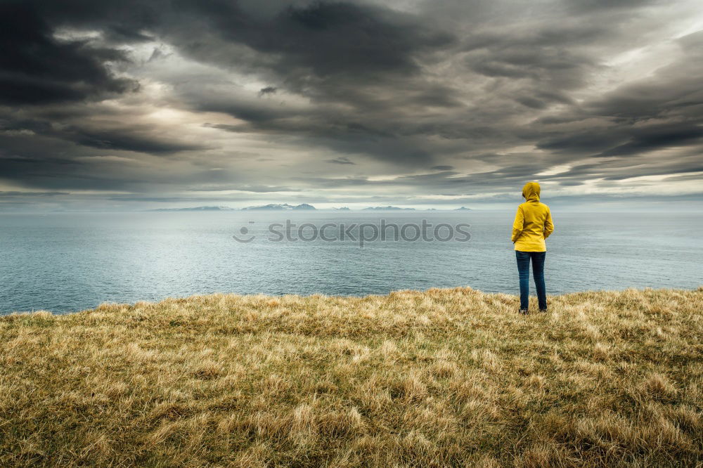 Similar – Image, Stock Photo View of Lake Maggiore in summer