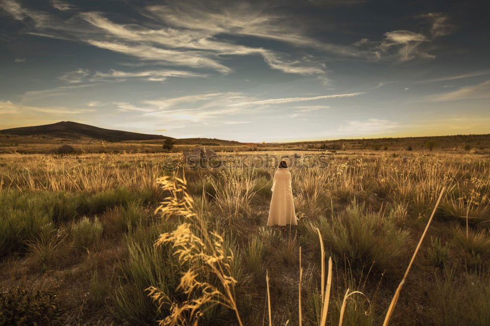 Similar – Image, Stock Photo Loneliness by the sea